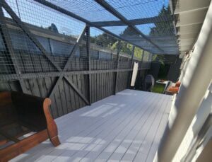 Deck Painting